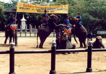 samphran_elephant_ground